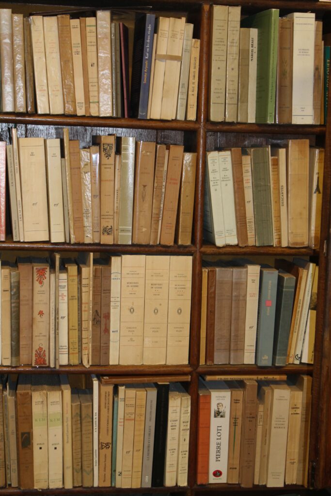 Bibliophile paradise L'Escurial featuring rare manuscripts and vintage books in Nice
