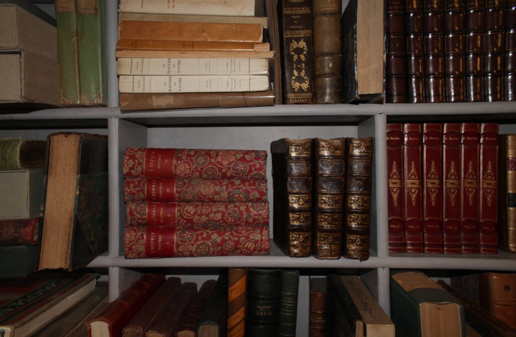 Rare books and manuscripts displayed at L'Escurial vintage bookshop, French Riviera