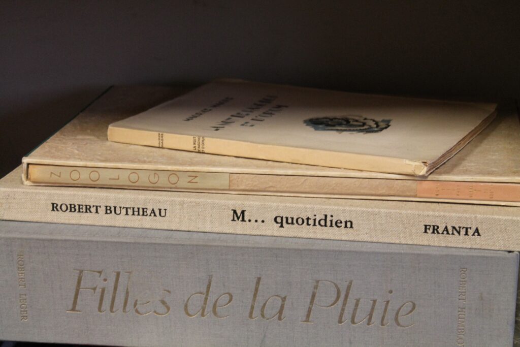 Book collecting passion displayed through vintage volumes at L'Escurial bookshop Nice