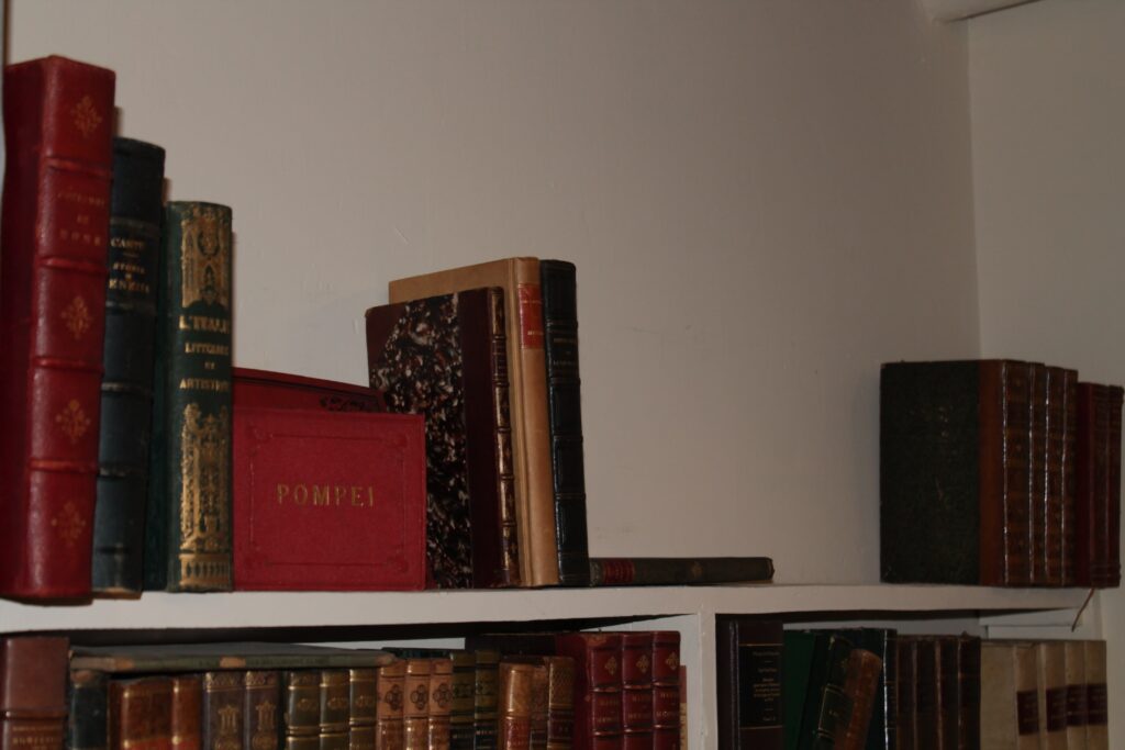 Book collecting passion displayed through vintage volumes at L'Escurial bookshop Nice