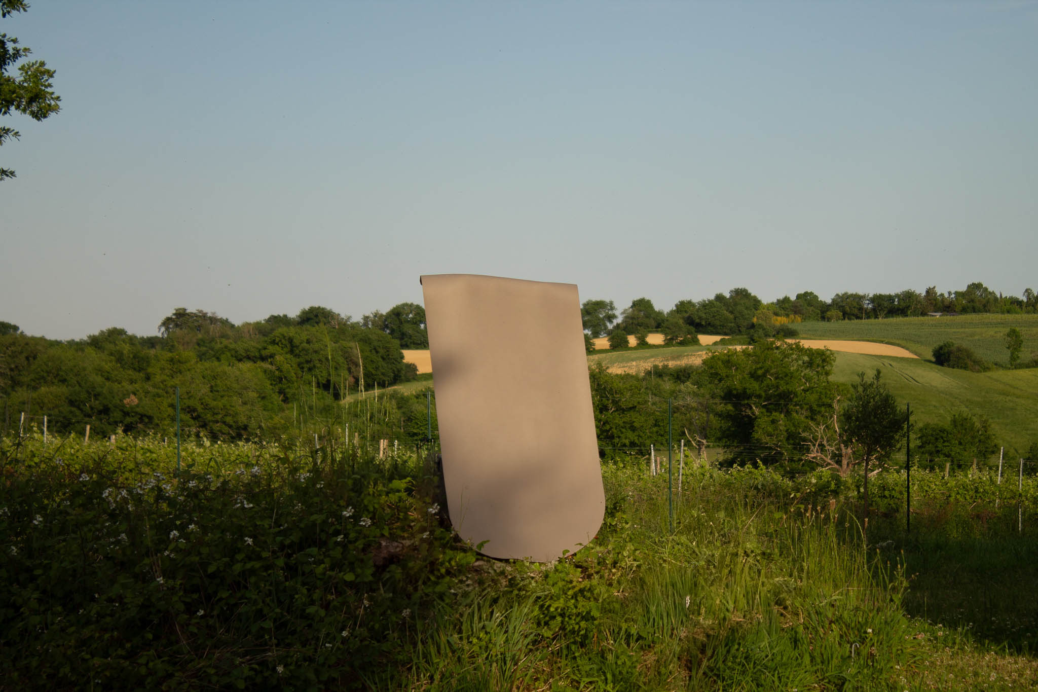 Yoga meditation in nature, outdoor wellness brand photography