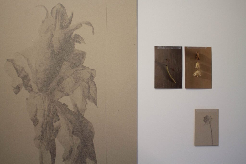 Taula Barcelona art space exhibition featuring contemporary artist work and installation