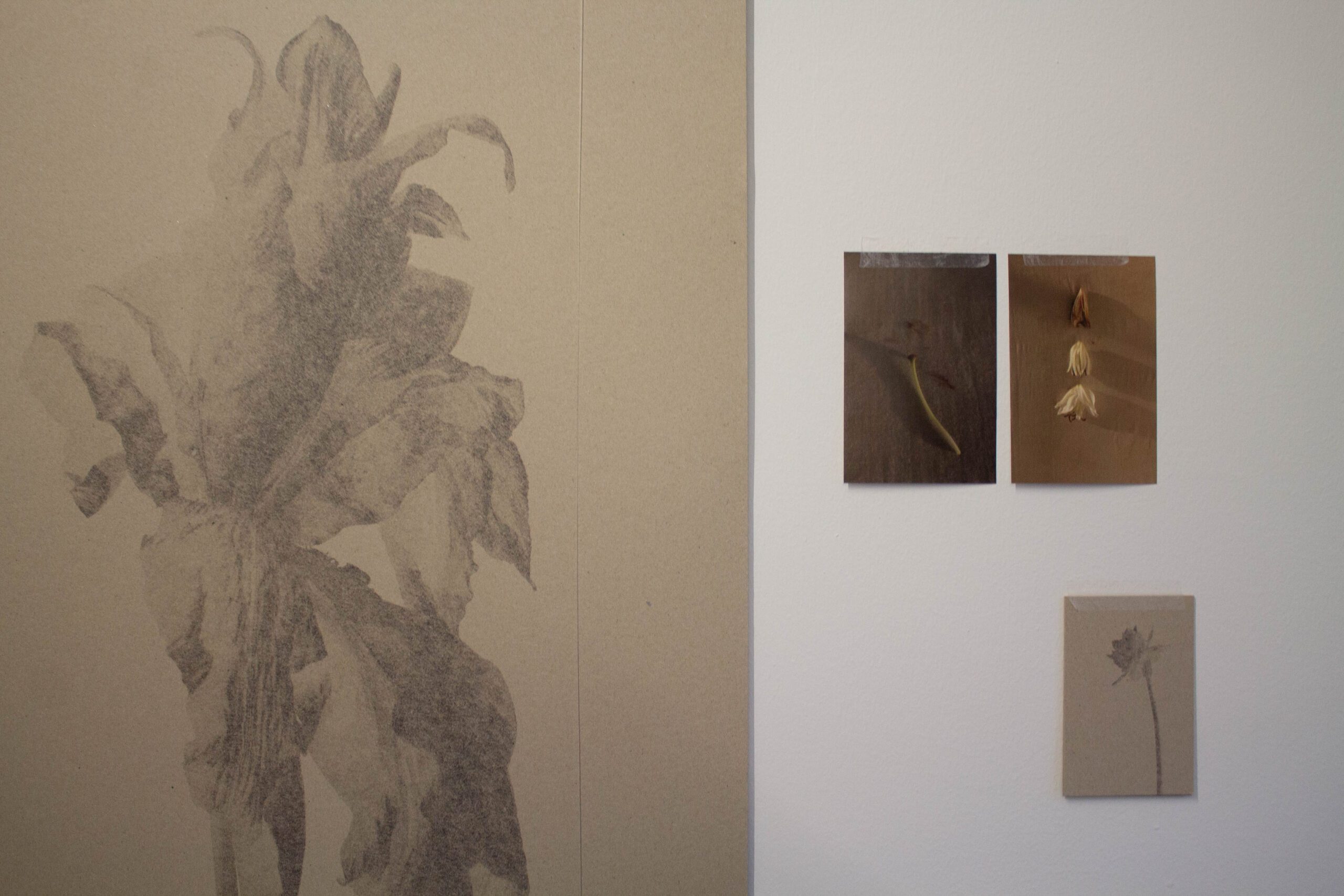 Taula Barcelona art space exhibition featuring contemporary artist work and installation
