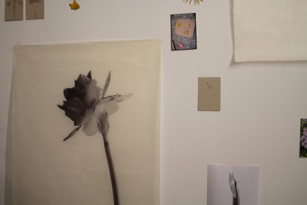 Taula gallery Barcelona contemporary art space hosting Cycles exhibition and artist installation