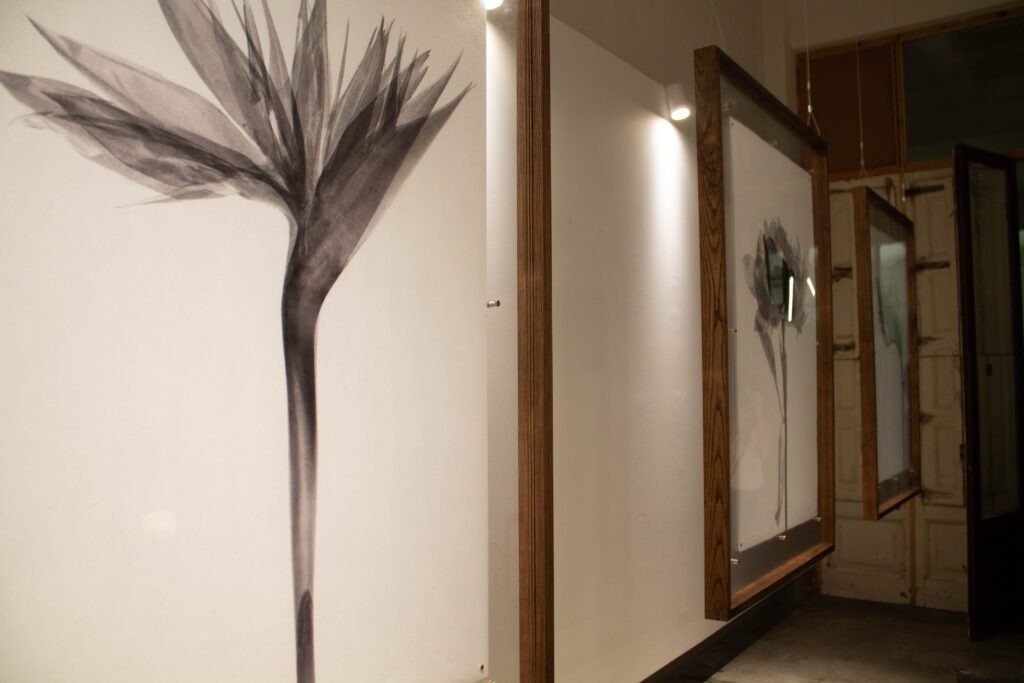 Cycles exhibition opening at Barcelona gallery showcasing new contemporary artwork and installation