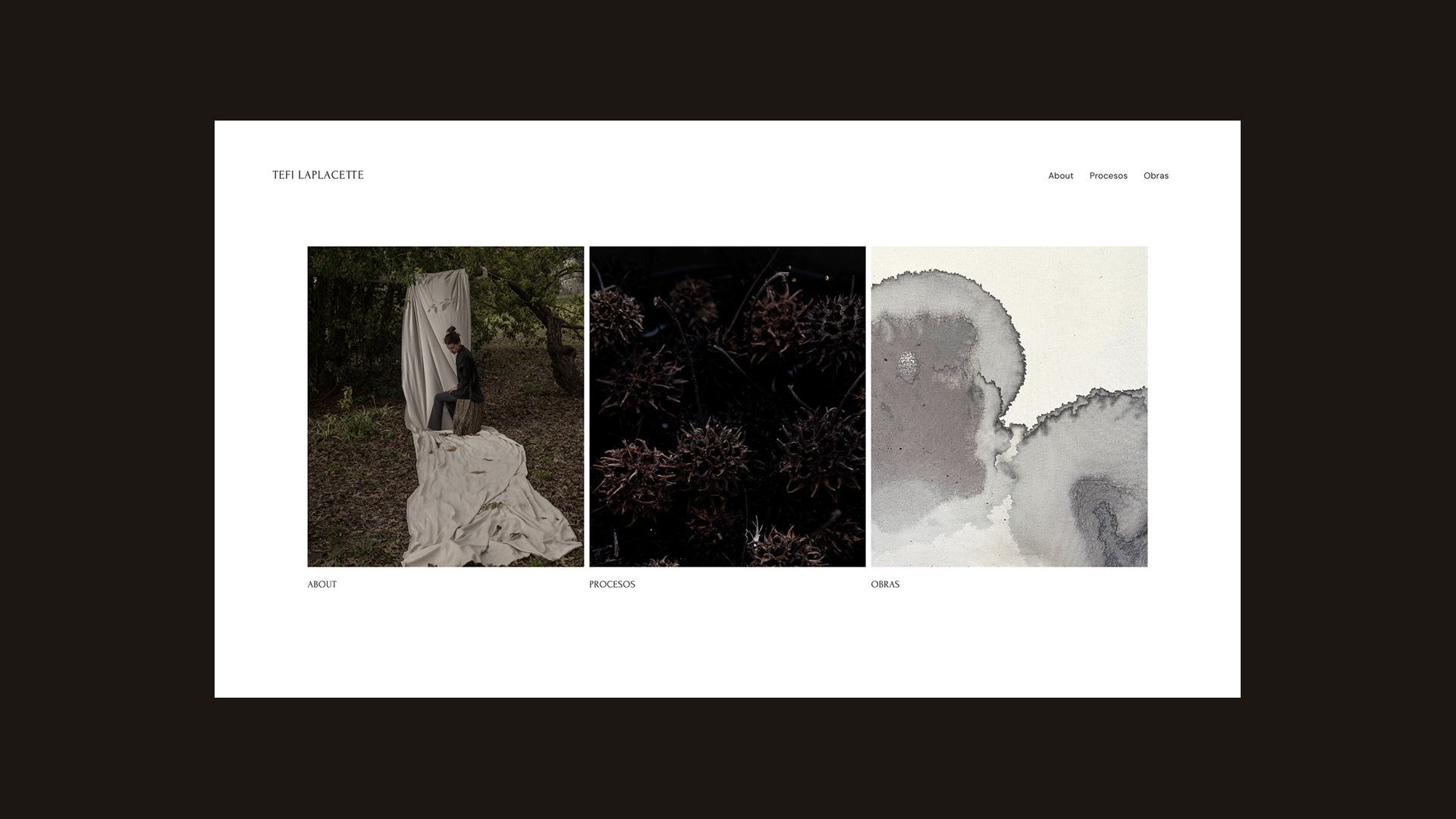 sustainable-artist-web-development