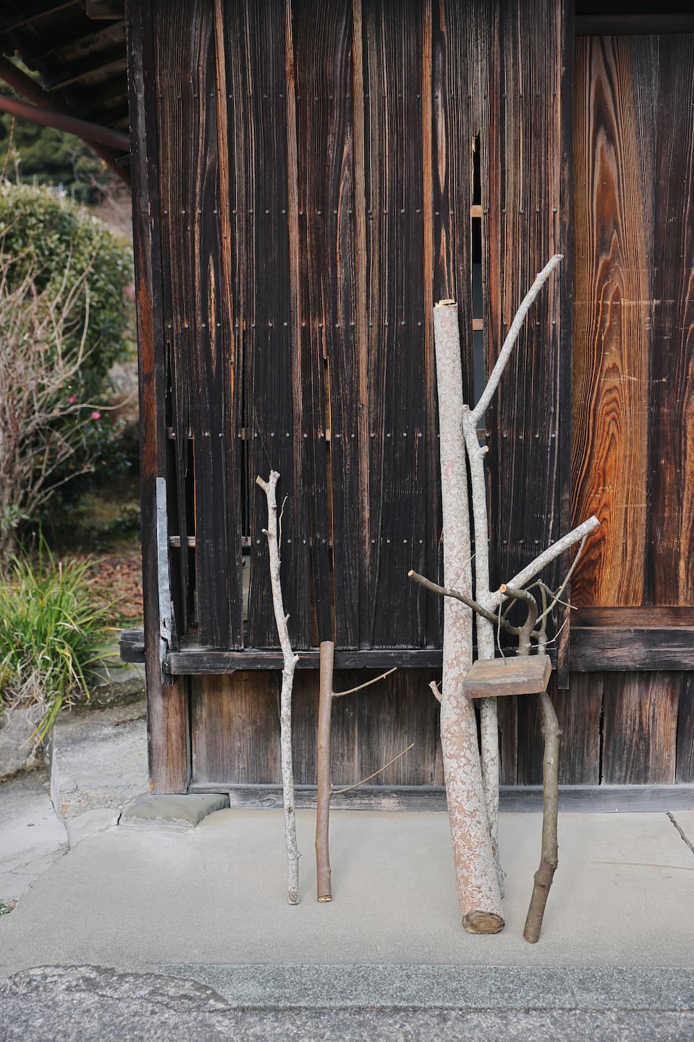 Isamu Hazama's studio surrounded by forest — mountain village, Wakayama
